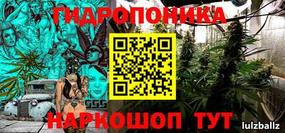 прущие крисы Абинск