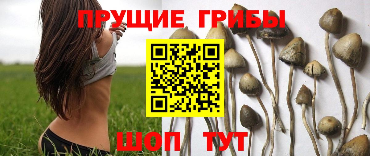 Галлюциногенные грибы мухоморы Абинск